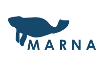 Marna Iced Tea